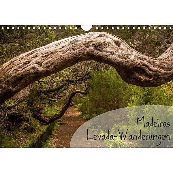 Madeiras Levada-Wanderungen (Wandkalender 2019 DIN A4 quer), Frauke Gimpel