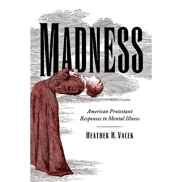 Madness / Studies in Religion, Theology, and Disability, Heather H. Vacek