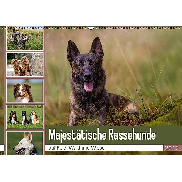 Mäjestätische Rassehunde auf Feld, Wald und Wiese (Wandkalender 2017 DIN A2 quer), Verena Scholze