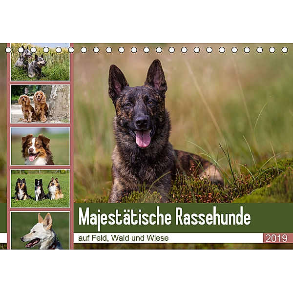 Mäjestätische Rassehunde auf Feld, Wald und Wiese (Tischkalender 2019 DIN A5 quer), Verena Scholze