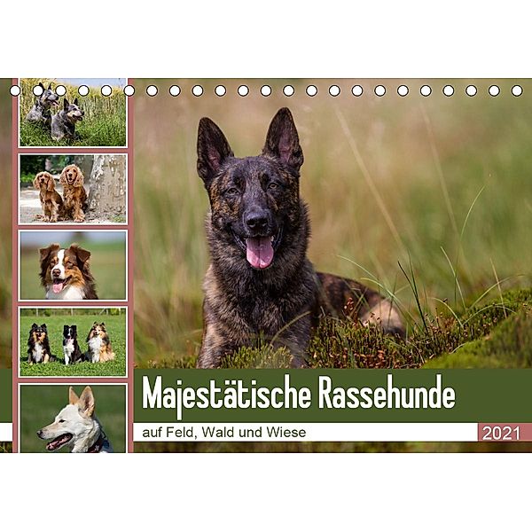 Mäjestätische Rassehunde auf Feld, Wald und Wiese (Tischkalender 2021 DIN A5 quer), Fotodesign Verena Scholze