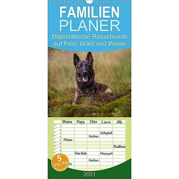 Mäjestätische Rassehunde auf Feld, Wald und Wiese - Familienplaner hoch (Wandkalender 2021 , 21 cm x 45 cm, hoch), Fotodesign Verena Scholze