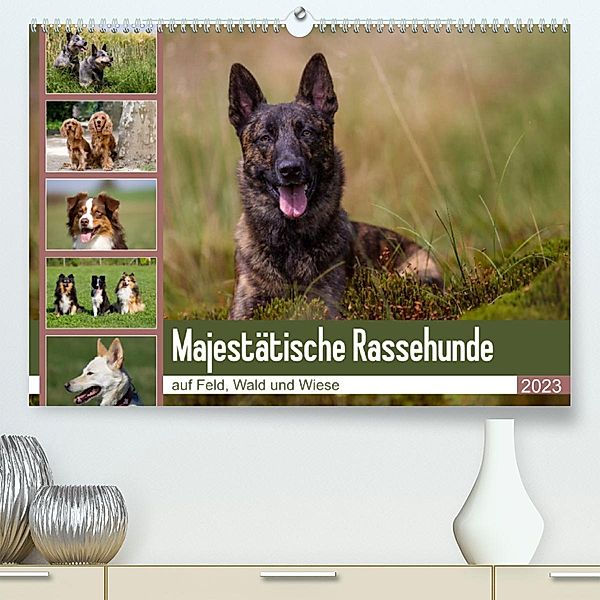 Mäjestätische Rassehunde auf Feld, Wald und Wiese (Premium, hochwertiger DIN A2 Wandkalender 2023, Kunstdruck in Hochgla, Fotodesign Verena Scholze