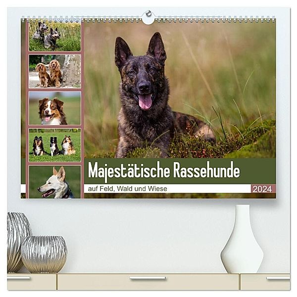 Mäjestätische Rassehunde auf Feld, Wald und Wiese (hochwertiger Premium Wandkalender 2024 DIN A2 quer), Kunstdruck in Hochglanz, Fotodesign Verena Scholze