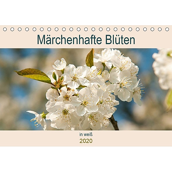 Märchenhafte Blüten in weiß (Tischkalender 2020 DIN A5 quer), Meike Bölts