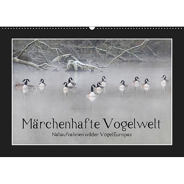 Märchenhafte Vogelwelt (Wandkalender 2019 DIN A2 quer), Marvin Lebeus