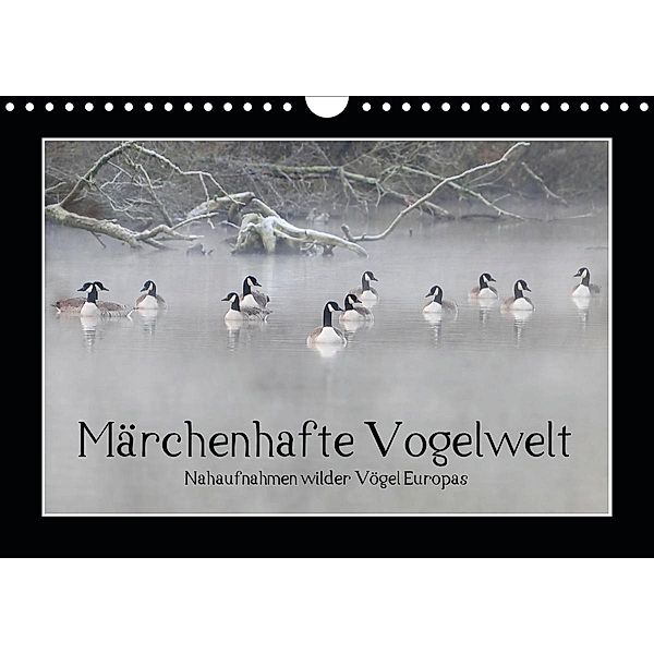 Märchenhafte Vogelwelt (Wandkalender 2020 DIN A4 quer), Marvin Lebeus