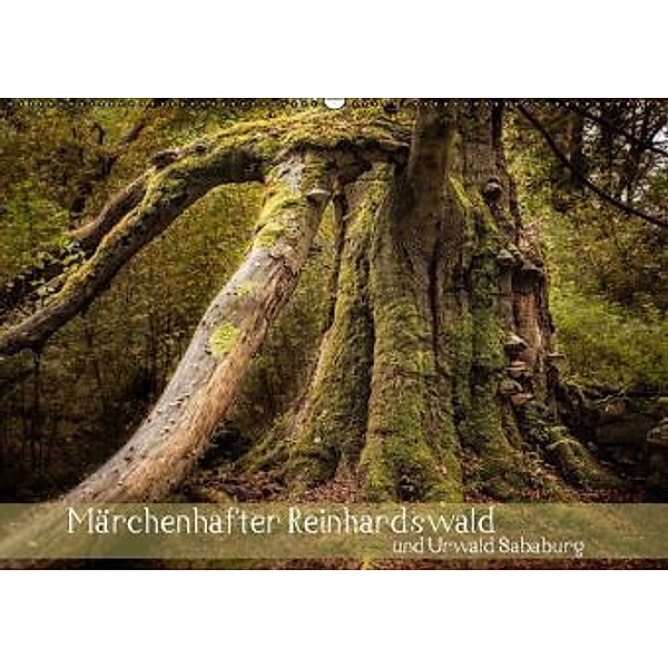 Märchenhafter Reinhardswald und Urwald Sababurg (Wandkalender 2016 DIN A2 quer), Michael Pohl