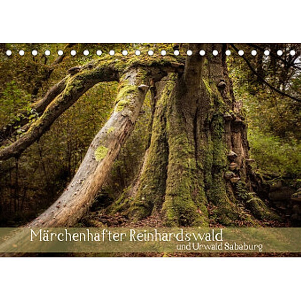 Märchenhafter Reinhardswald und Urwald Sababurg (Tischkalender 2022 DIN A5 quer), Michael Pohl
