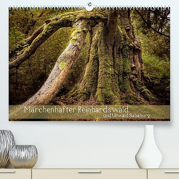 Märchenhafter Reinhardswald und Urwald Sababurg (Premium, hochwertiger DIN A2 Wandkalender 2023, Kunstdruck in Hochglanz, Michael Pohl
