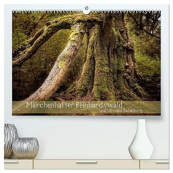Märchenhafter Reinhardswald und Urwald Sababurg (hochwertiger Premium Wandkalender 2025 DIN A2 quer), Kunstdruck in Hochglanz, Calvendo, Michael Pohl