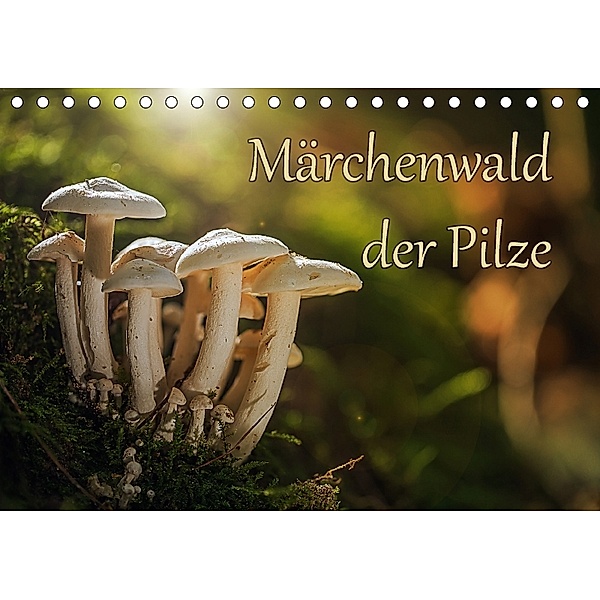 Märchenwald der Pilze (Tischkalender 2018 DIN A5 quer), Philipp Radtke