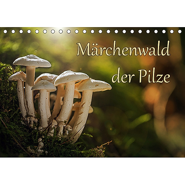 Märchenwald der Pilze (Tischkalender 2019 DIN A5 quer), Philipp Radtke