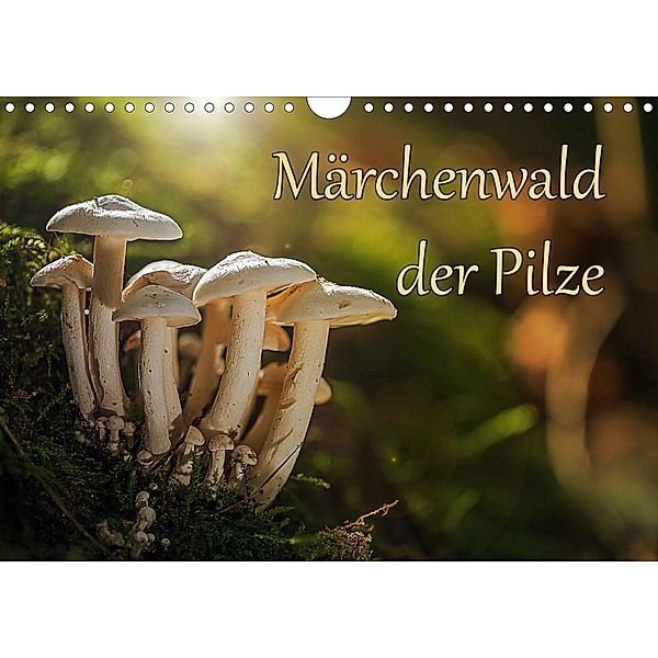 Märchenwald der Pilze (Wandkalender 2021 DIN A4 quer), Philipp Radtke