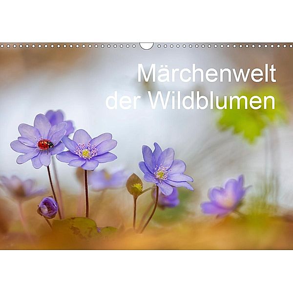 Märchenwelt der Wildblumen (Wandkalender 2020 DIN A3 quer), Henrik Spranz