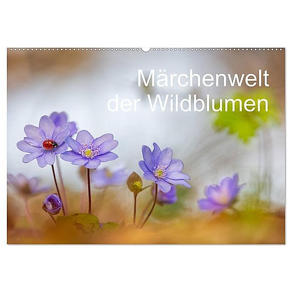 Märchenwelt der Wildblumen (Wandkalender 2024 DIN A2 quer), CALVENDO Monatskalender, Henrik Spranz