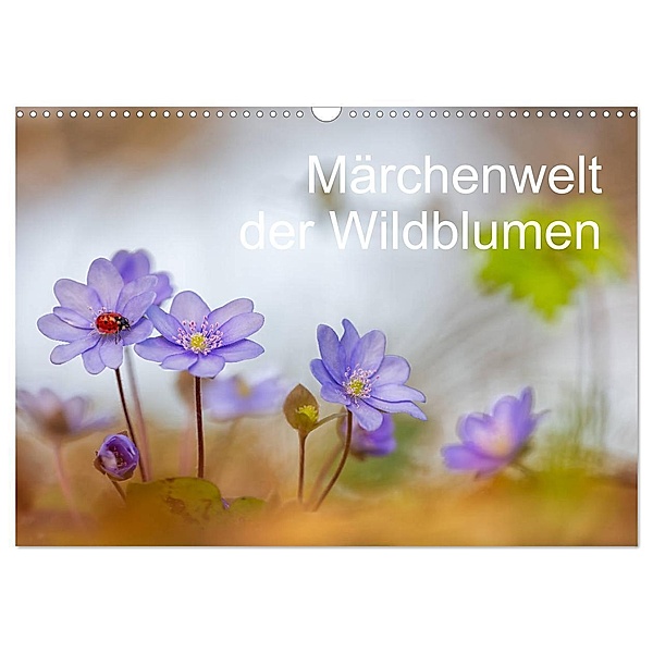 Märchenwelt der Wildblumen (Wandkalender 2024 DIN A3 quer), CALVENDO Monatskalender, Henrik Spranz