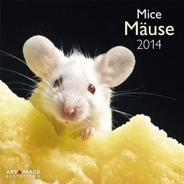 Mäuse, Broschürenkalender 2014