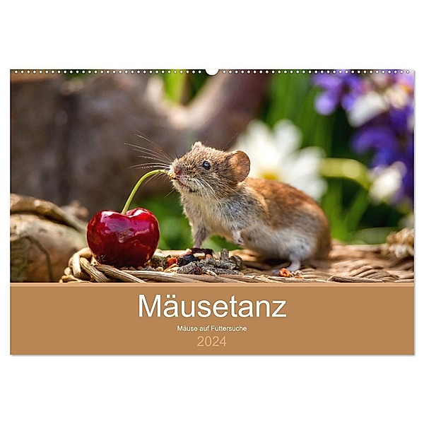 Mäusetanz (Wandkalender 2024 DIN A2 quer), CALVENDO Monatskalender, Linda Geisdorf Photography
