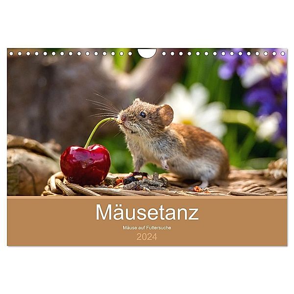 Mäusetanz (Wandkalender 2024 DIN A4 quer), CALVENDO Monatskalender, Linda Geisdorf Photography