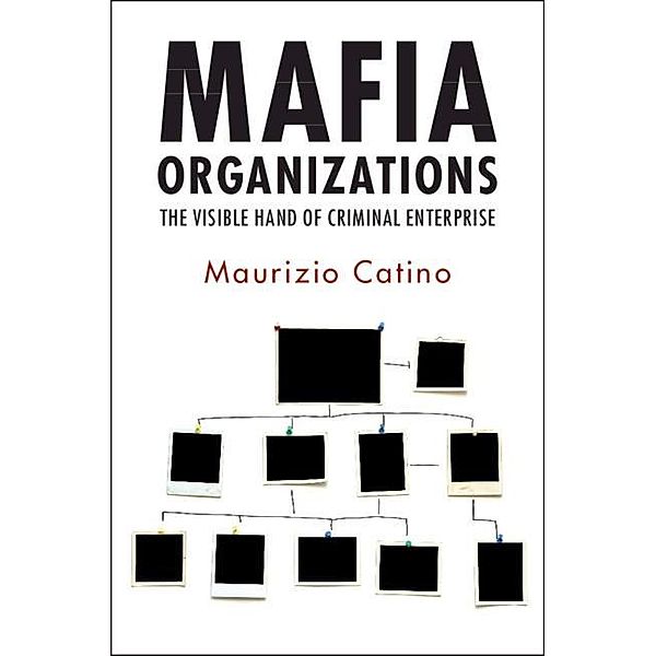 Mafia Organizations, Maurizio Catino