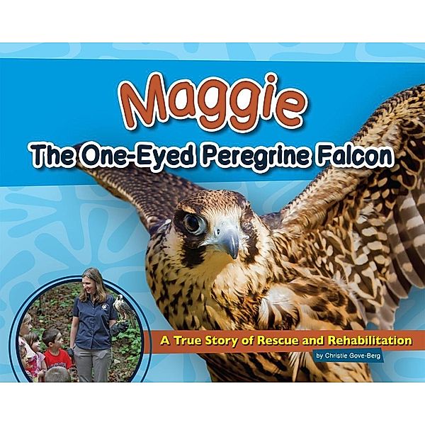 Maggie the One-Eyed Peregrine Falcon / Wildlife Rescue Stories, Christie Gove-Berg