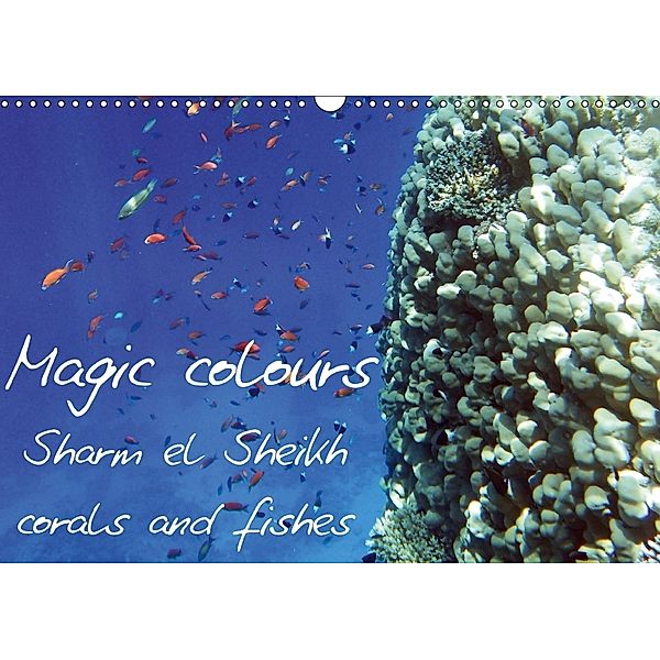 Magic colours Sharm el Sheikh corals and fishes (Wall Calendar 2018 DIN A3 Landscape), Caterina Sulfaro