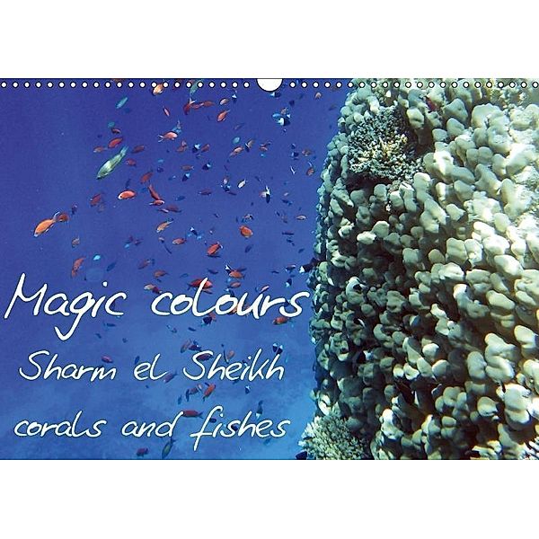 Magic colours Sharm el Sheikh corals and fishes (Wall Calendar 2017 DIN A3 Landscape), Caterina Sulfaro