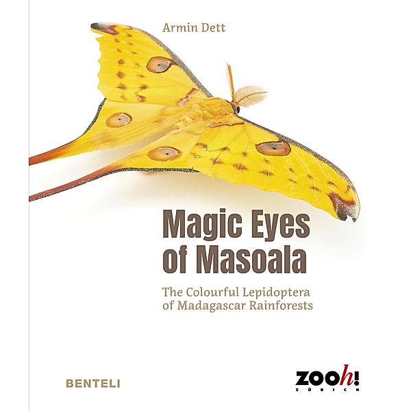 Magic Eyes of Masoala, Dett Armin