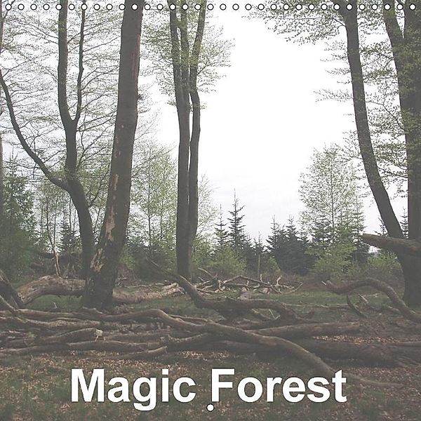 Magic Forest (Wall Calendar 2017 300 × 300 mm Square), Uwe Bernds Author