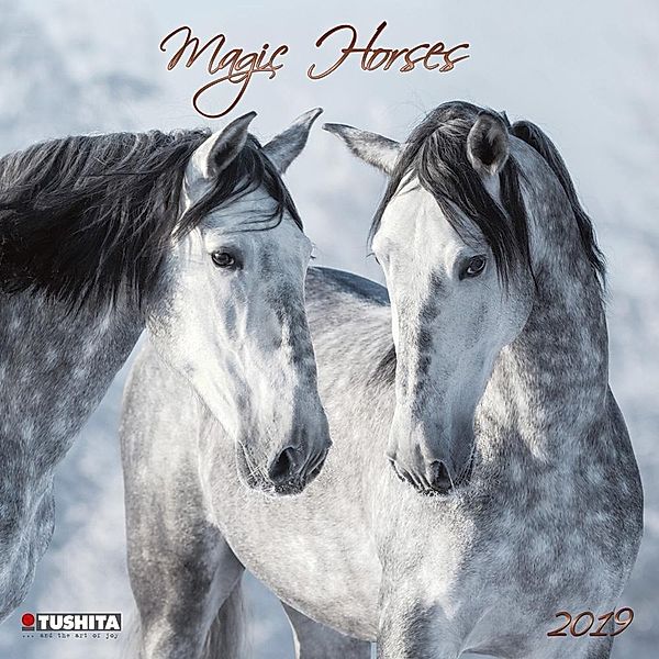 Magic Horses 2019