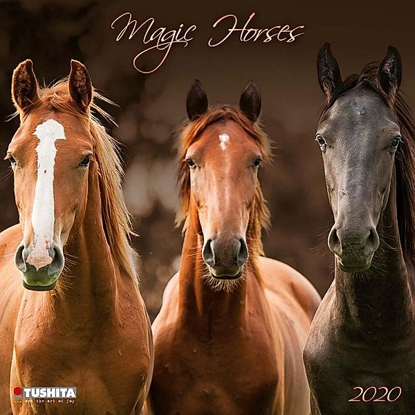 Magic Horses 2020