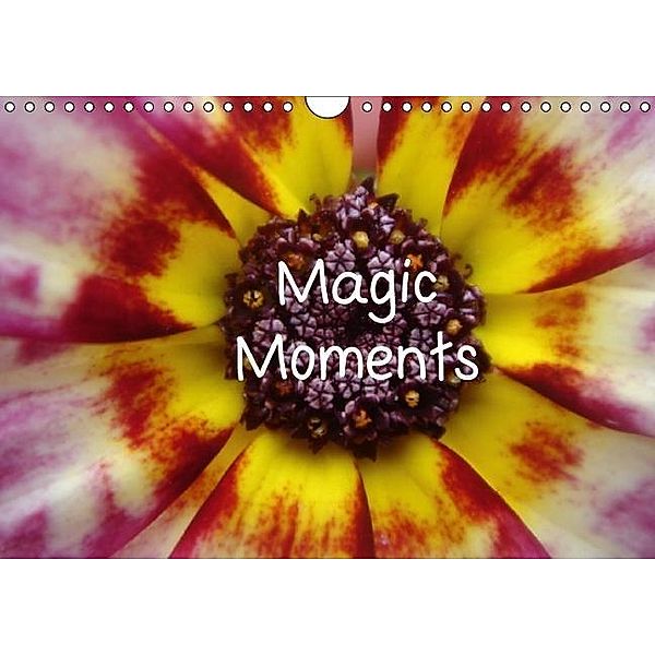 Magic Moments (Wandkalender 2016 DIN A4 quer), Eigenart