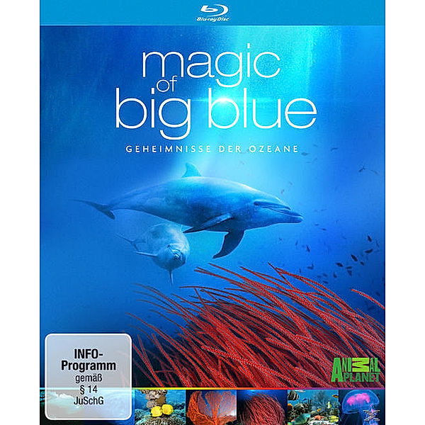 Magic of Big Blue