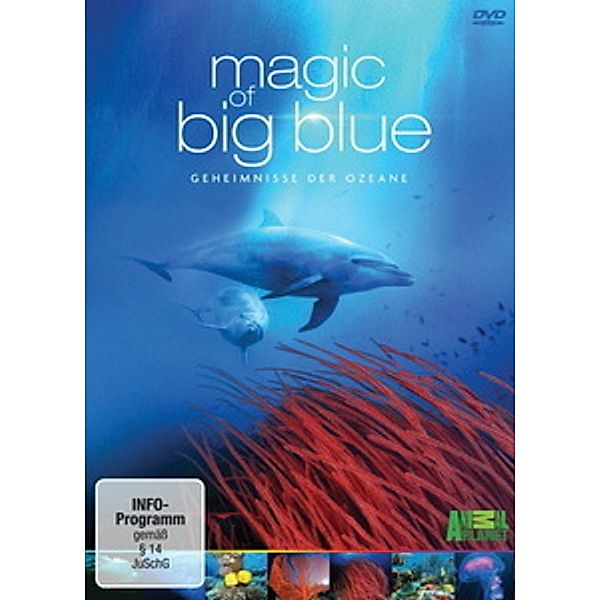 Magic of Big Blue - Geheimnisse der Ozeane