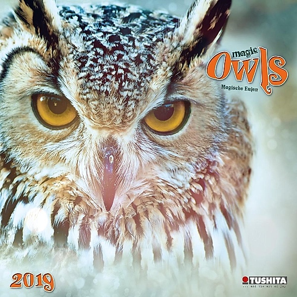 Magic Owls 2019
