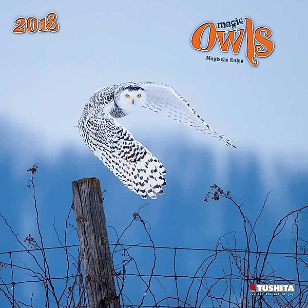 Magic Owls, Magische Eulen 2018