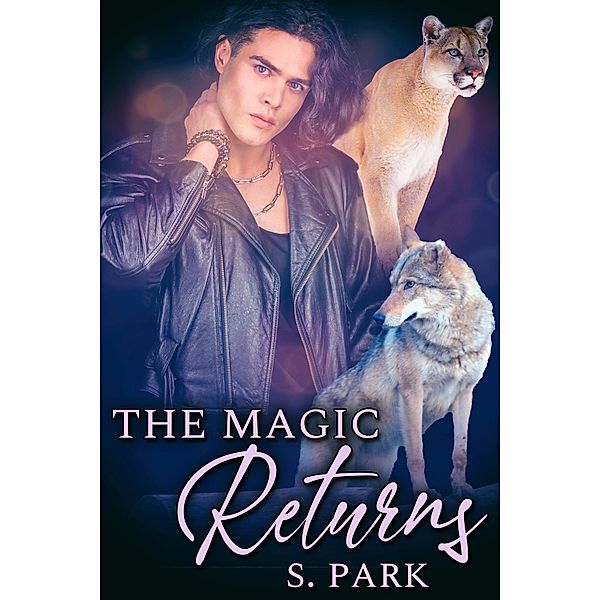 Magic Returns / JMS Books LLC, S. Park