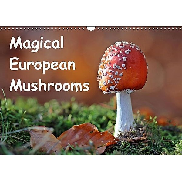 Magical European Mushrooms (Wall Calendar 2017 DIN A3 Landscape), Christine Schmutzler-Schaub