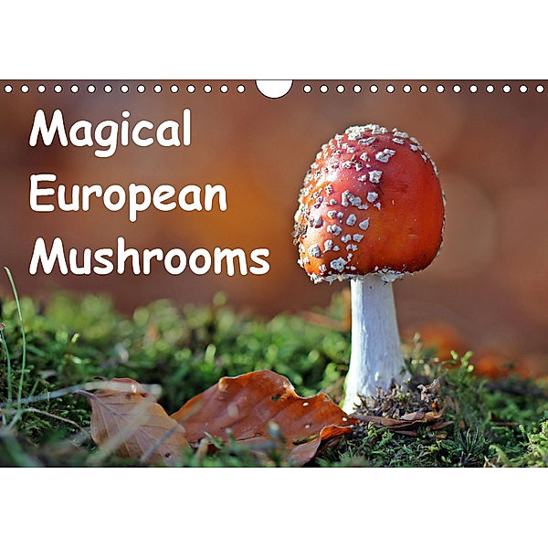 Magical European Mushrooms (Wall Calendar 2019 DIN A4 Landscape), Christine Schmutzler-Schaub