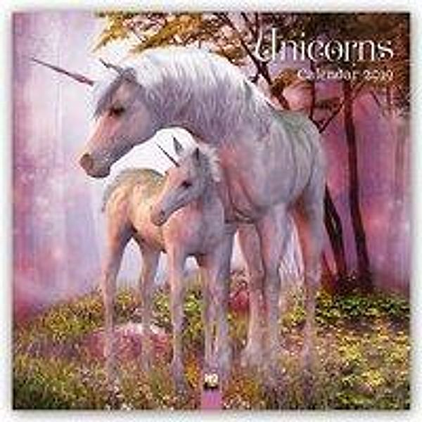 Magical History of Unicorns Wall Calendar 2019 (Art Calendar