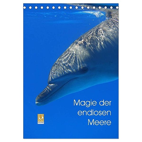 Magie der endlosen Meere (Tischkalender 2024 DIN A5 hoch), CALVENDO Monatskalender, Franziska Reinhardt