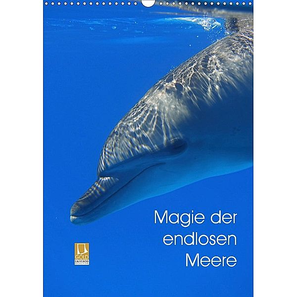 Magie der endlosen Meere (Wandkalender 2021 DIN A3 hoch), Franziska Reinhardt