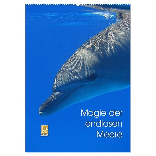 Magie der endlosen Meere (Wandkalender 2024 DIN A2 hoch), CALVENDO Monatskalender, Franziska Reinhardt