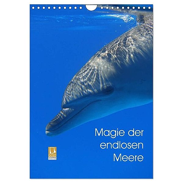 Magie der endlosen Meere (Wandkalender 2024 DIN A4 hoch), CALVENDO Monatskalender, Franziska Reinhardt