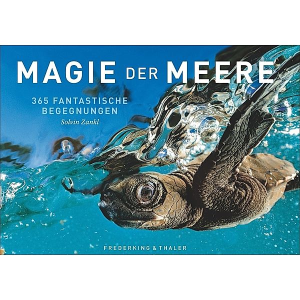 Magie der Meere, Tischaufsteller, Solvin Zankl