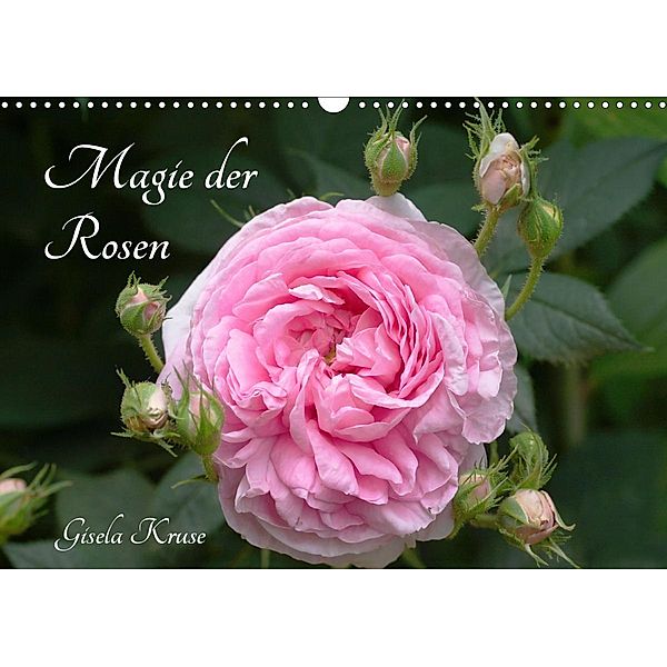 Magie der Rosen (Wandkalender 2021 DIN A3 quer), Gisela Kruse