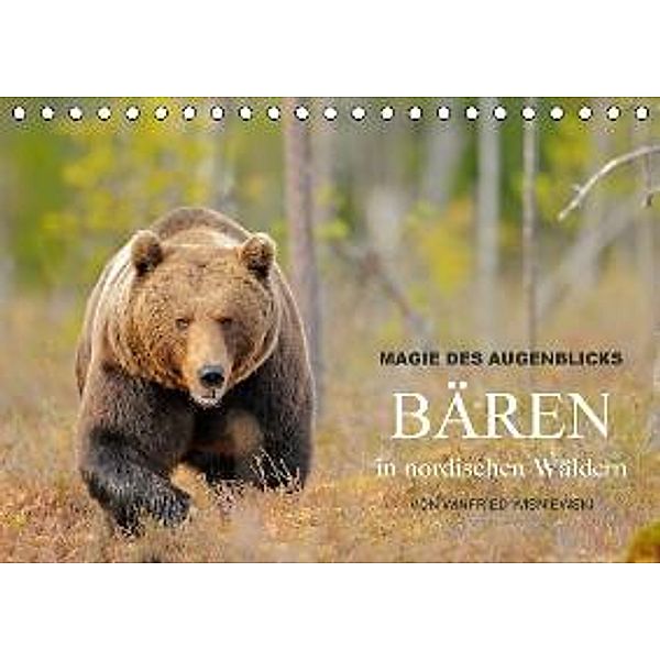 Magie des Augenblicks - Bären in nordischen Wäldern (Tischkalender 2016 DIN A5 quer), Winfried Wisniewski