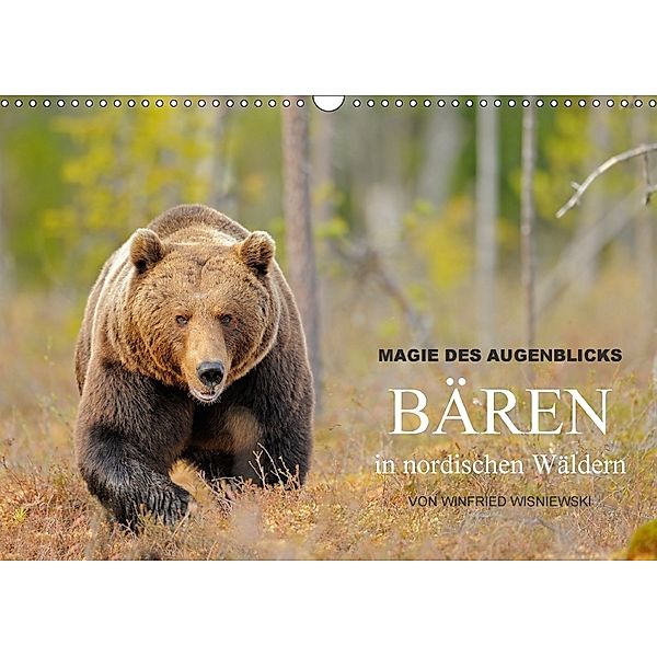 Magie des Augenblicks - Bären in nordischen Wäldern (Wandkalender 2018 DIN A3 quer), Winfried Wisniewski