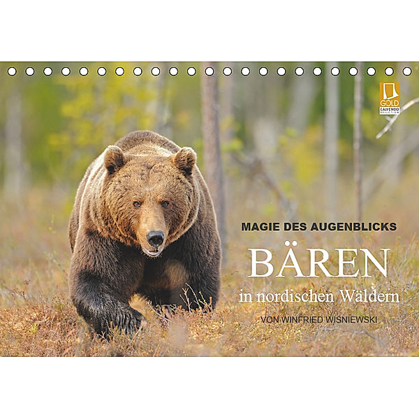 Magie des Augenblicks - Bären in nordischen Wäldern (Tischkalender 2019 DIN A5 quer), Winfried Wisniewski